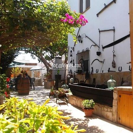 La Llar De Laura Guest House El Poble Nou del Delta Bagian luar foto